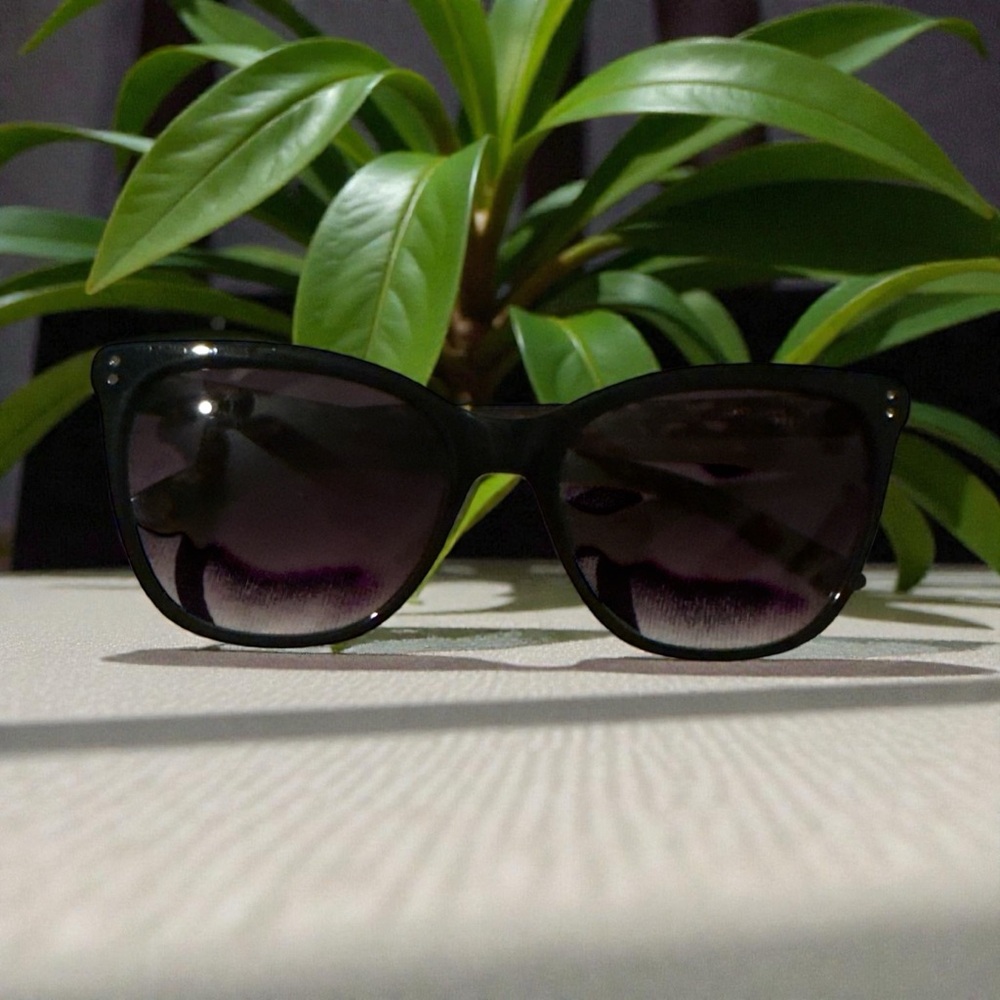 Ted Baker TBW054 Black with Tortoise Arms Sunglasses